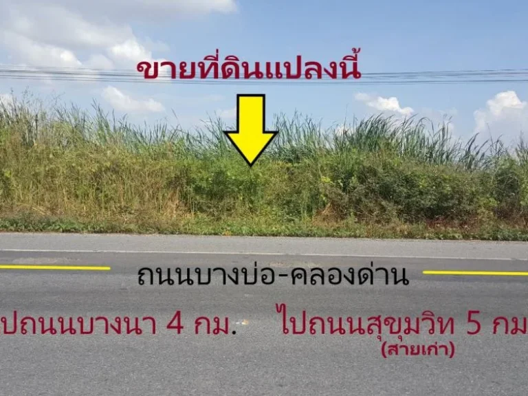 ขายที่ดิน 41 ไร่เศษ บางบ่อ คลองด่านถนนบางนา-ตราด 88 sqw