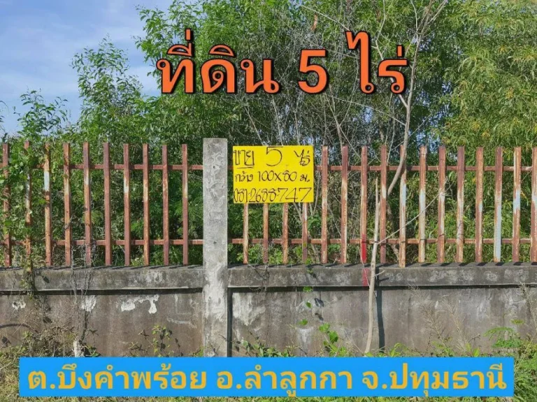 ขายที่ดินสร้างโกดัง 5 ไร่ ติดถนนคอนกรีตสาธารณะ มีระบบประปาและไฟฟ้า 3 เฟส คลอง 6 ลำลูกกา ปทุมธานี