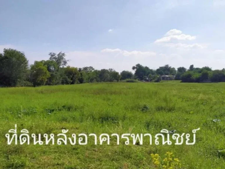 ขายถูกๆที่ดินทำเลทอง 2-3-37ไร่ พิกัด ตพุทไธสง อพุทไธสง จบุรีรัมย์ ขายยกแปลง 2ล้านบาท ราคาต่อรองได้