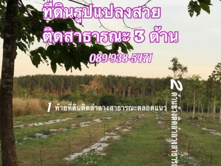 ขายที่ดินเพื่อการเกษตร และอยู่อาศัย 575 ไร่ รวม 15 ลบ