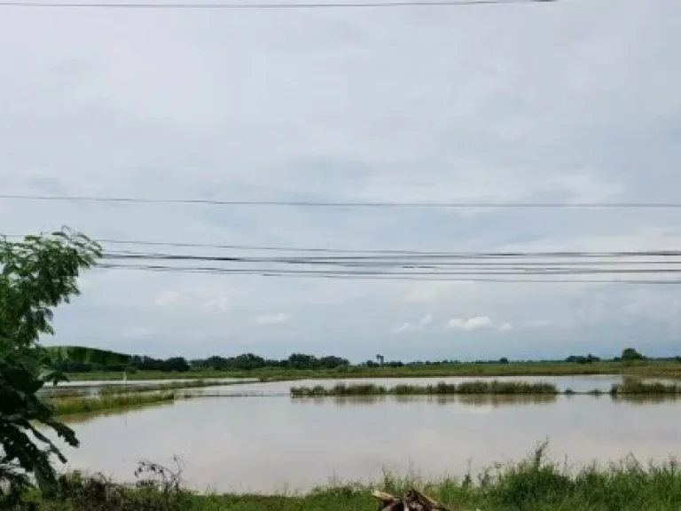 ขายที่ดินสวยด่วน ตบ้านสร้าง อบ้านสร้าง จปราจีนบุรี