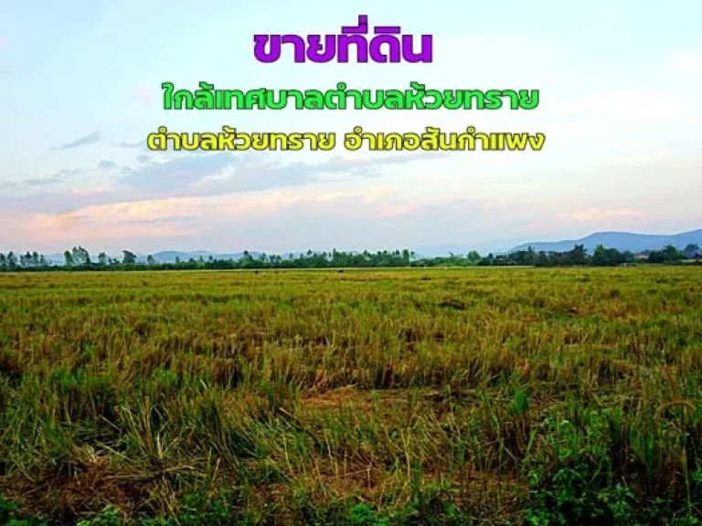 ขายที่ดิน ใกล้เทศบาลตำบลห้วยทราย ตำบลห้วยทราย อำเภอสันกำแพง จังหวัดเชียงใหม่