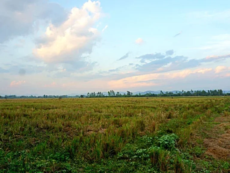 ขายที่ดิน ใกล้เทศบาลตำบลห้วยทราย ตำบลห้วยทราย อำเภอสันกำแพง จังหวัดเชียงใหม่