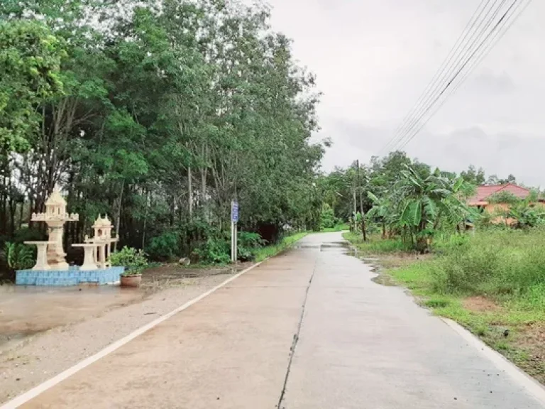 ขายที่ดินเปล่า ขนาด 937 ตรว ตำบลตากแดด อำเภอเมืองชุมพร จังหวัดชุมพร