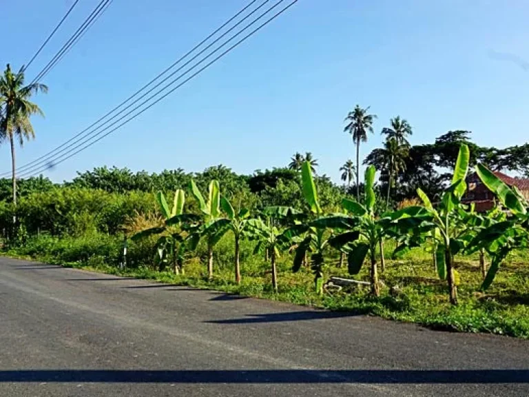 ขายที่ดิน ตำบลสันป่าเปา อำเภอสันทราย จังหวัดเชียงใหม่ การเดินทางสะดวก