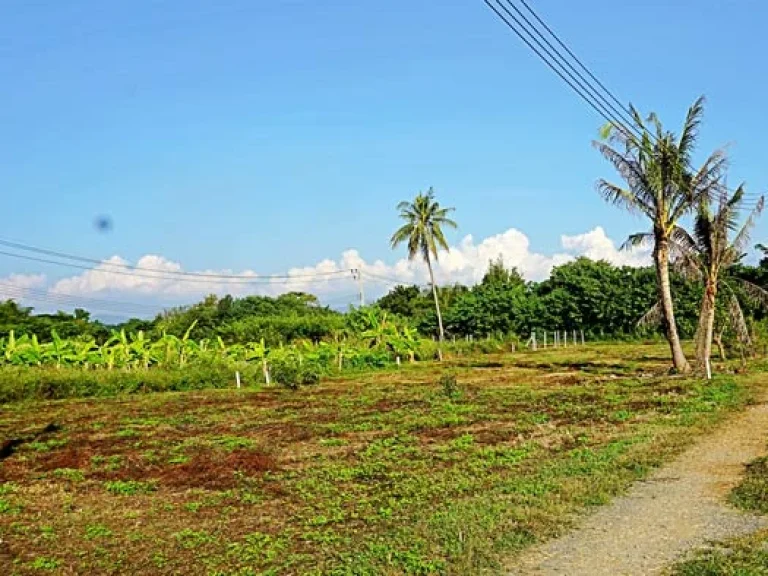 ขายที่ดิน ตำบลสันป่าเปา อำเภอสันทราย จังหวัดเชียงใหม่ การเดินทางสะดวก