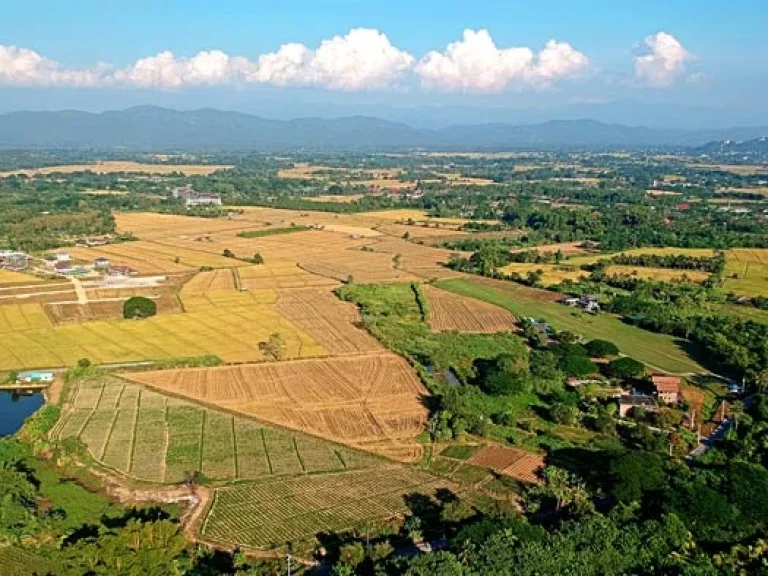 ขายที่ดิน ตำบลสันป่าเปา อำเภอสันทราย จังหวัดเชียงใหม่ การเดินทางสะดวก