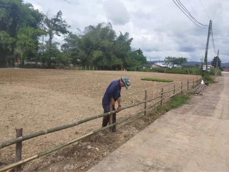 Nice of Land with House and Business small restaurant and Farm at Mae Rim Chiang Mai