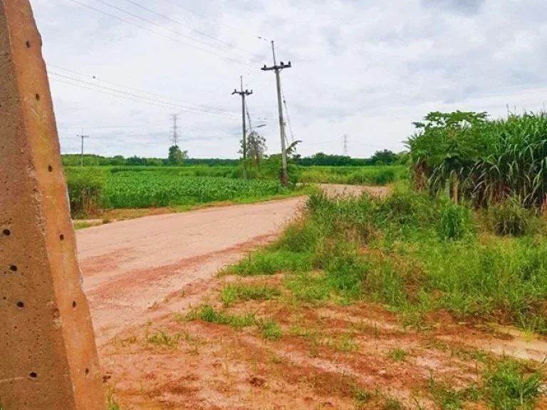 ขายที่ดิน ใกล้อ่างเก็บน้ำคลองหลวง รัชชโลทร อเกาะจันทร์ ชลบุรี