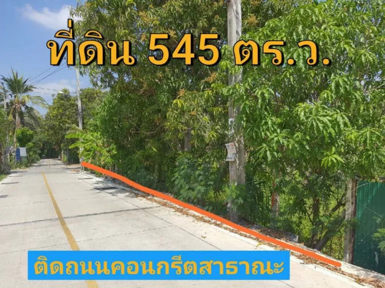 ขายที่ดินใกล้ราชพฤกษ์ 545 ตารางวา แปลงมุมม ติดถนนคอนกรีตสาธารณะ ตำบล บางรักน้อย อำเภอเมือง นนทบุรี