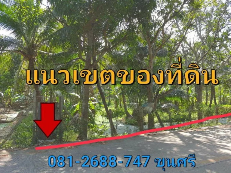 ขายที่ดินใกล้ราชพฤกษ์ 545 ตารางวา แปลงมุมม ติดถนนคอนกรีตสาธารณะ ตำบล บางรักน้อย อำเภอเมือง นนทบุรี