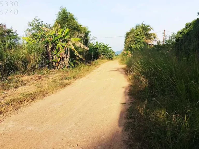 ขายที่ดิน หัวหิน 4ไร่ ใกล้ถนนบายพาส เหมาะปลูกบ้าน ทำโครงการจัดสรร ลดราคาถูกสุดๆ