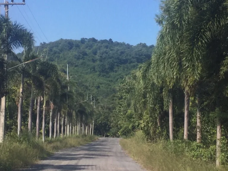 ขายที่ดินวิวสวย ภูเขาล้อม 9 ไร่ พร้อมอาคารสระว่ายน้ำ ตำบลเขาพระ นครนายก