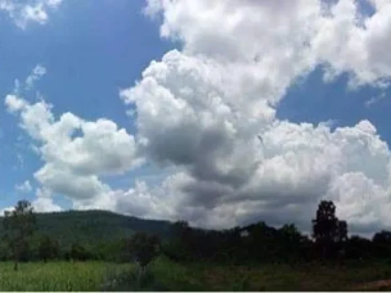 ขายที่ดิน 27 ไร่ ติดถนนทางหลวง ตำบลขนวน อำเภอหนองนาคำ ขอนแก่น