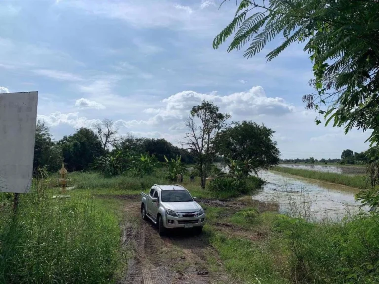 ขายที่ดิน จปทุมธานี 31 ไร่ ติดถนน รูปที่ดินทรงสี่เหลี่ยม