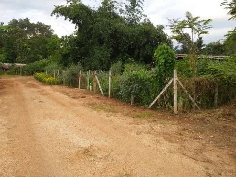 ขายที่ดินเปล่า อ ทองผาภูมิ มีถนนตัดผ่าน วิวภูเขา