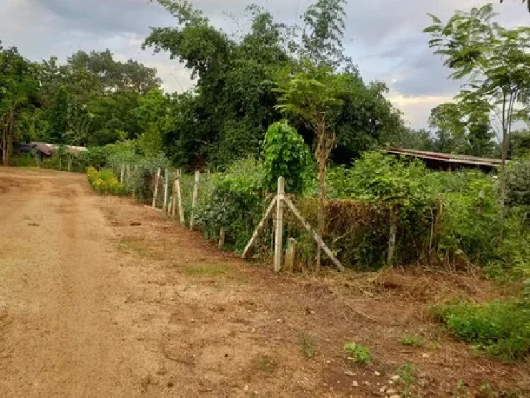 ขายที่ดินเปล่า อ ทองผาภูมิ มีถนนตัดผ่าน วิวภูเขา