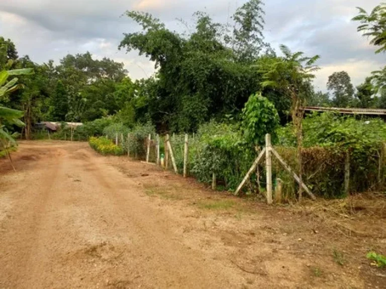 ขายที่ดินเปล่า อ ทองผาภูมิ มีถนนตัดผ่าน วิวภูเขา