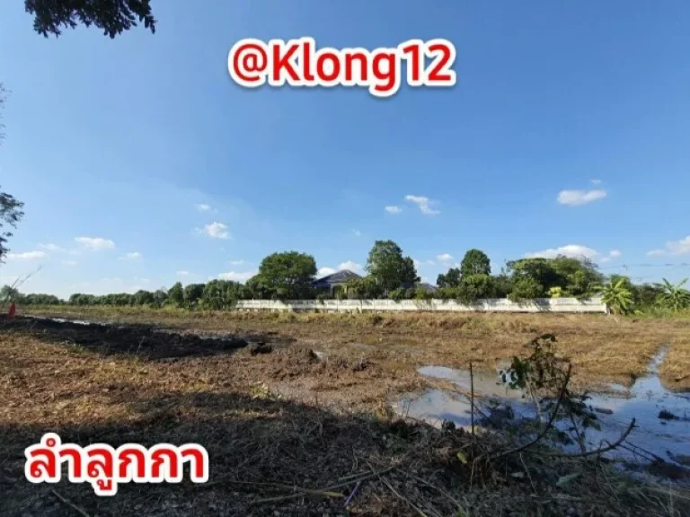 ขายที่ดินสวยสดผ่อนติดถนน ลำลูกกา คลอง12