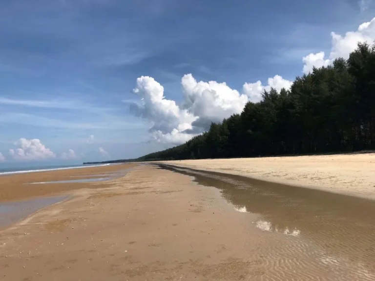 ขายที่ดิน 10 ไร่ จพังงา ห่างจากชายหาด900เมตร ด้านหน้าติดถนน