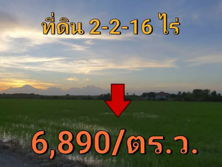 ขายที่ดินราคาถูก 2-2-16 ไร่ ติดถนนสาธารณะ ซอย สังฆสันติสุข 62 เขต หนองจอก กรุงเทพมหานคร