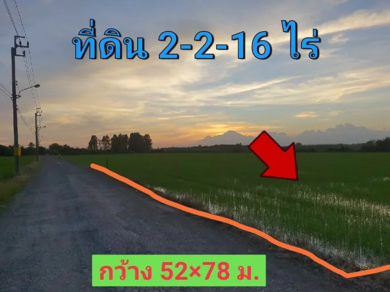 ขายที่ดินราคาถูก 2-2-16 ไร่ ติดถนนสาธารณะ ซอย สังฆสันติสุข 62 เขต หนองจอก กรุงเทพมหานคร