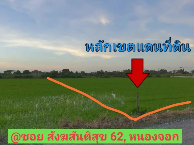 ขายที่ดินราคาถูก 2-2-16 ไร่ ติดถนนสาธารณะ ซอย สังฆสันติสุข 62 เขต หนองจอก กรุงเทพมหานคร