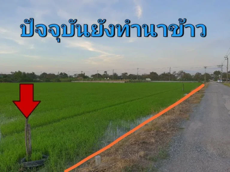 ขายที่ดินราคาถูก 2-2-16 ไร่ ติดถนนสาธารณะ ซอย สังฆสันติสุข 62 เขต หนองจอก กรุงเทพมหานคร