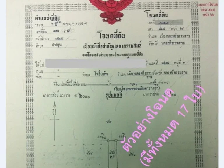 ที่ดินจัดสรร 17 ห้อง บริเวณทางเข้าโครงการมณฑาแลนด์ พีแลนด์ ถนนอ้อมค่าย อำเภอเมือง นครศรีธรรมราช