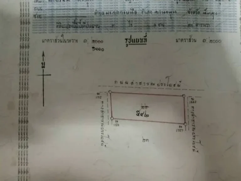 ที่ดินสวนยาง จพัทลุง เนื้อที่ 3 ไร่ 1 งาน 49 ตรว