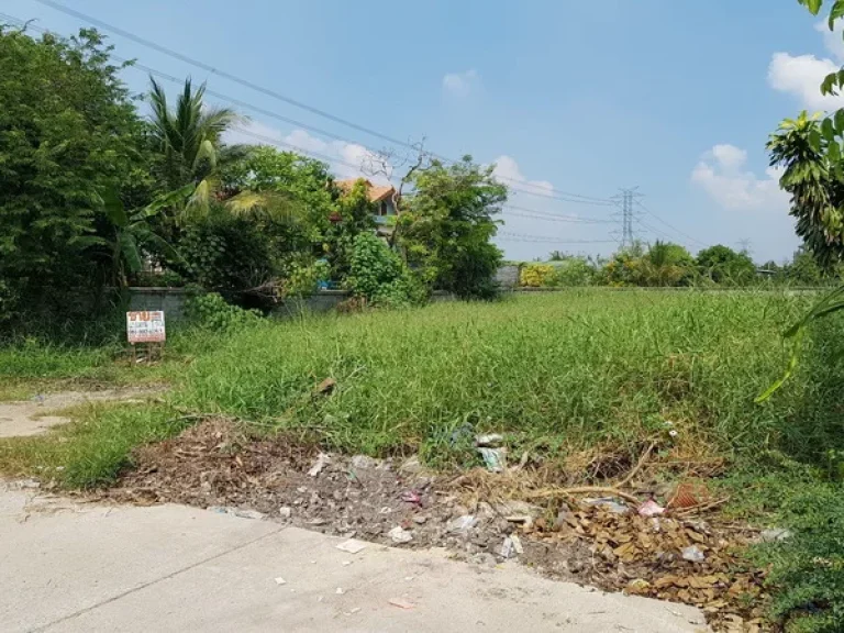 ขาย ที่ดิน ซอยเลียบคลองนายหลีก วัดลาดปลาดุก ถนนกาญจนาภิเษก อบางบัวทอง จนนทบุรี