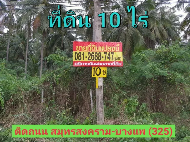 ขายต่ำกว่าราคาตลาดที่ดิน 10 ไร่ ใกล้ตลาดน้ำดำเนินสะดวก ติดถนน สมุทรสงคราม-บางแพ กม27 อำเภอ ดำเนินสะดวก ราชบุรี