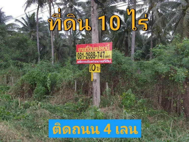 ขายต่ำกว่าราคาตลาดที่ดิน 10 ไร่ ใกล้ตลาดน้ำดำเนินสะดวก ติดถนน สมุทรสงคราม-บางแพ กม27 อำเภอ ดำเนินสะดวก ราชบุรี