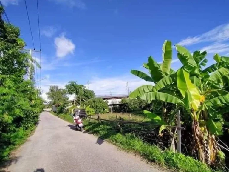 ขายที่ดินห่างถนนซุเปอร์เพียง 50 เมตร ลำพูน