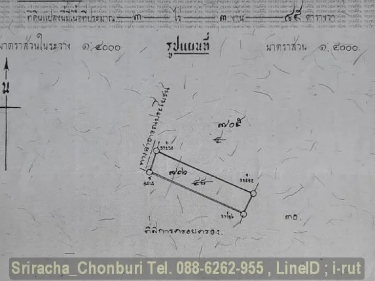 ที่ดิน 3ไร่ 3งาน 85วา หน้ากว้าง 40 เมตร ถนนปูนหน้าที่ดิน ซอยนาพร้าว อศรีราชา