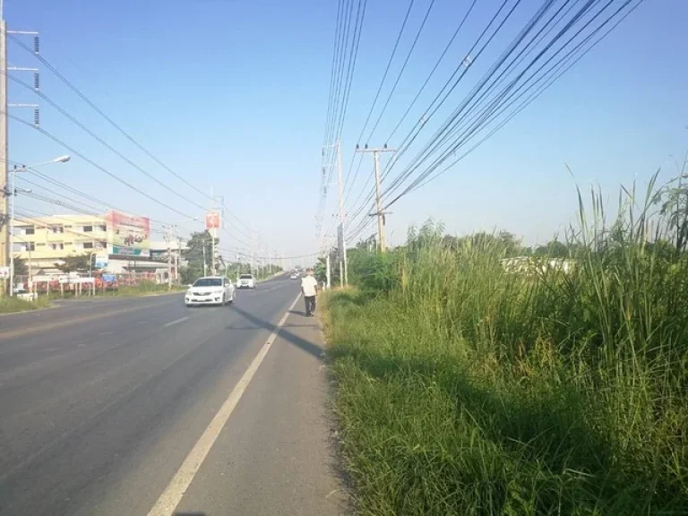 ขายที่ดินติดถนนลำลูกกา-นครนายก ปทุมธานี ใกล้ลำลูกกาคลอง 11 เนื้อที่ 7 ไร่ 3 งาน 65 ตรว