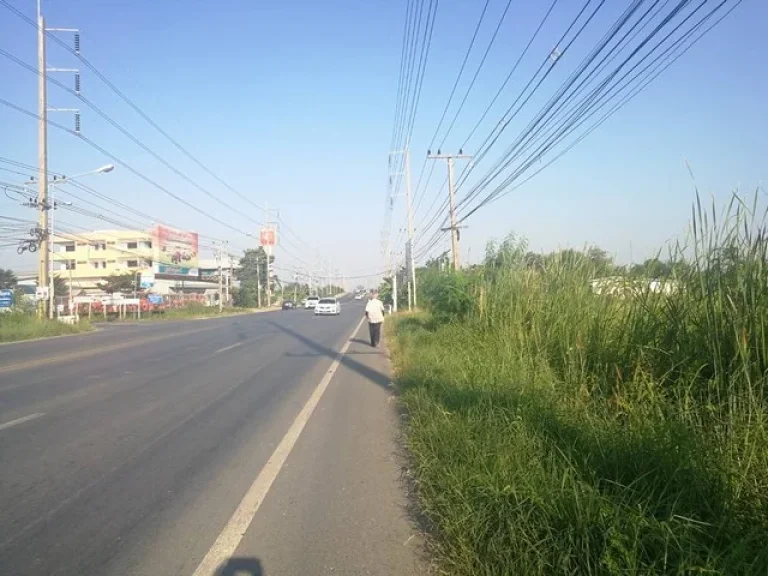 ขายที่ดินติดถนนลำลูกกา-นครนายก ปทุมธานี ใกล้ลำลูกกาคลอง 11 เนื้อที่ 7 ไร่ 3 งาน 65 ตรว