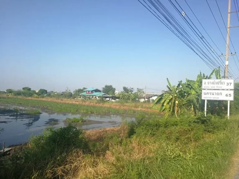 ขายที่ดินติดถนนลำลูกกา เนื้อที่ 50 ไร่ ใกล้วัดทำเลทอง ติดถนนลำลูกกา-นครนายก