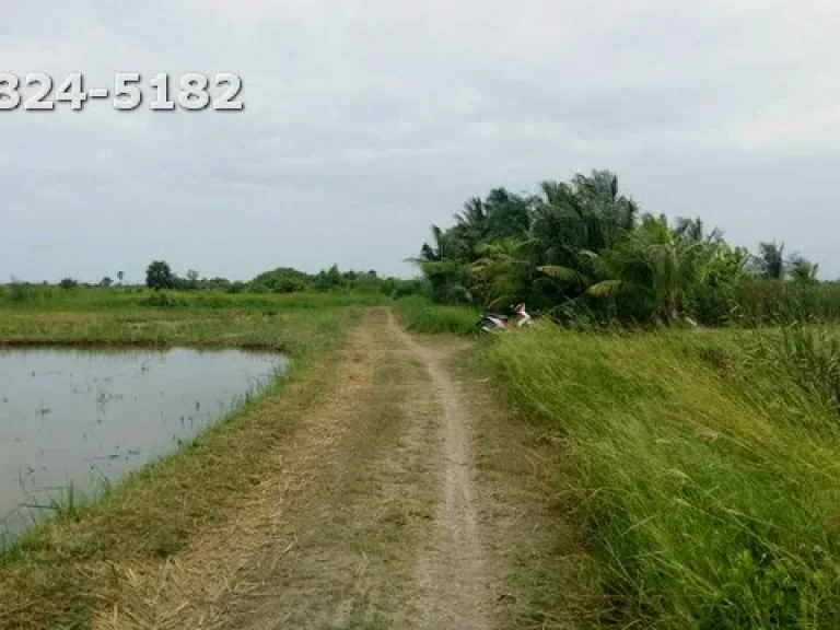 ขายที่ดินบริเวณ ตหาดเจ้าสำราญ บางทะเล อเมือง จเพชรบุรี เนื้อที่ 30 ไร่ 2 งาน 83 ตารางวา