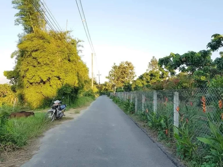 ขายที่เปล่า สวยๆ บรรยากาศดี ไฟน้ำพร้อม ที่ตั้ง ตสันมหาพน อแม่แตง เชียงใหม่ เนื้อที่ 2 ไร่ เอกสารโฉนด ต้องการขายยกแปลง ไร่ละ 700000 บาท ราคาต่อรอง