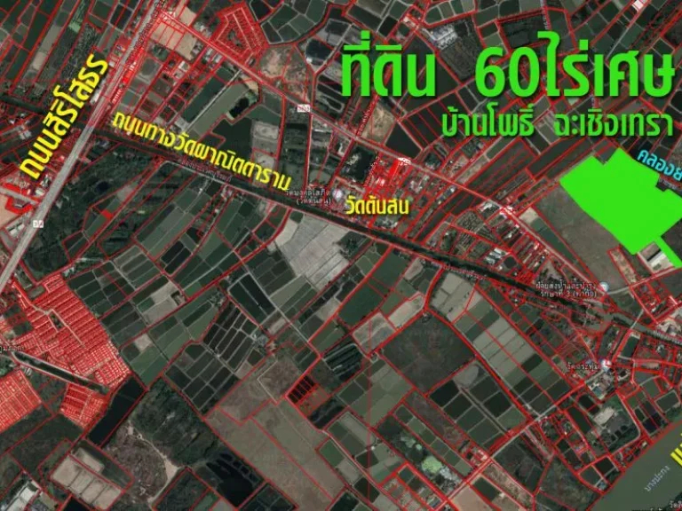 ที่ดิน อบ้านโพธิ์สนามจัน ยกแปลง 3 โฉนด ขนาด 60 ไร่เศษ ฉะเชิงเทรา