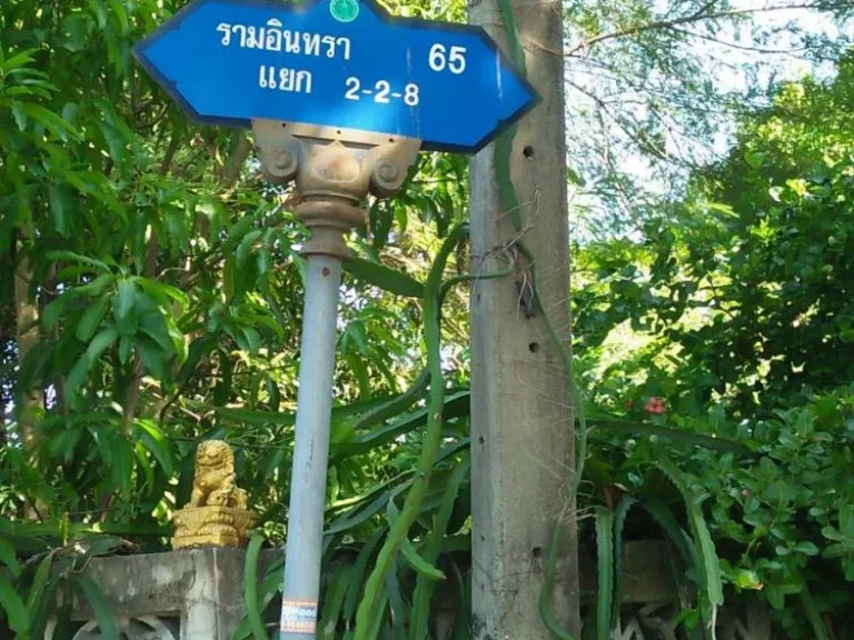 ขายที่ดิน 86 ตรว ซรามอินทรา 65 แยก 2-2-8