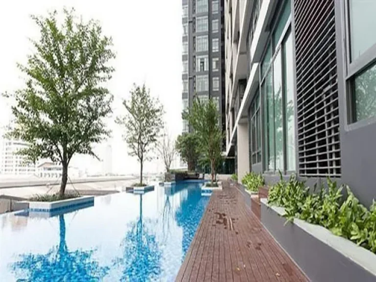 Ideo Bluecove Sukhumvit For Sale Studio room 7 floor swimming pool view