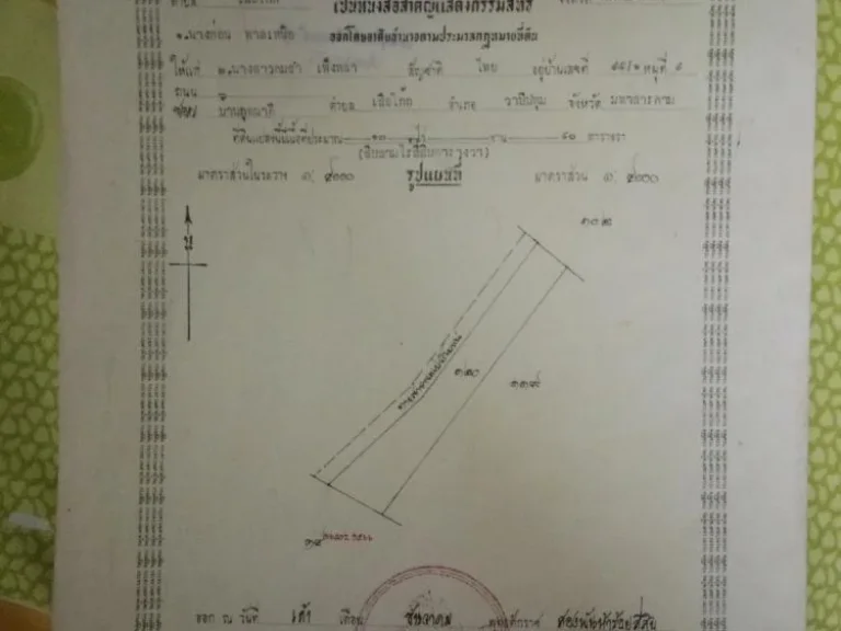 ที่ดินนาข้าว