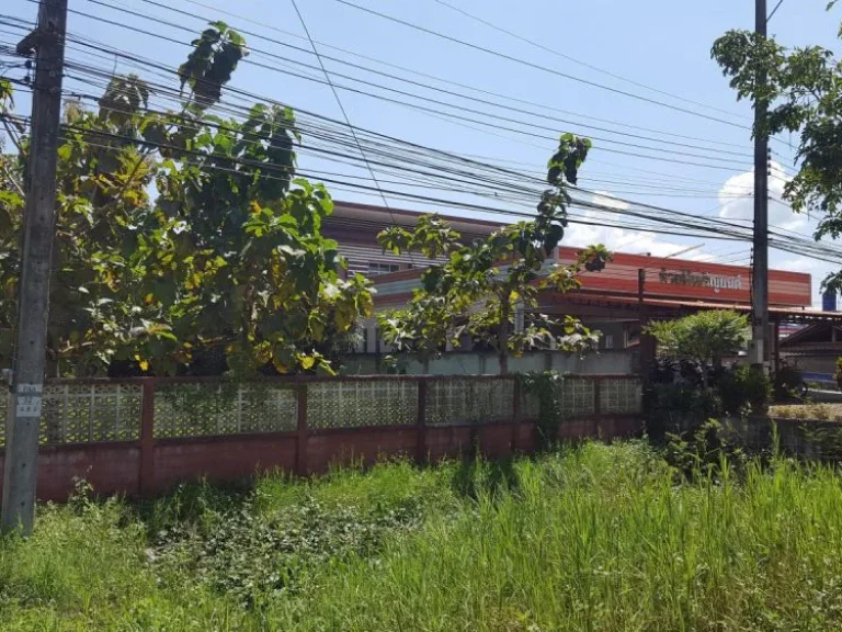 ขายบ้านและที่ดิน ติดริมถนน ฝาง