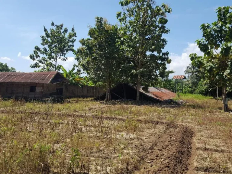 ขายบ้านและที่ดิน ติดริมถนน ฝาง