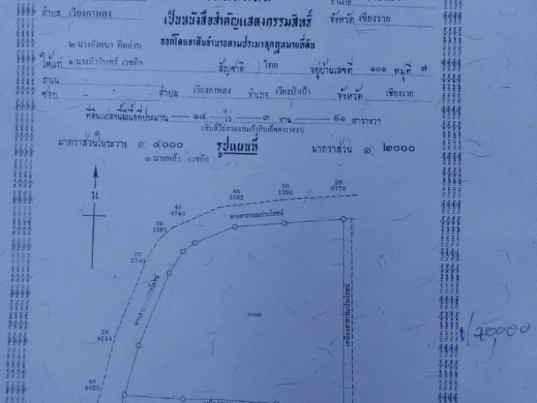 ขายที่ดิน 14 ไร่ 3 งาน 91 ตารางวา