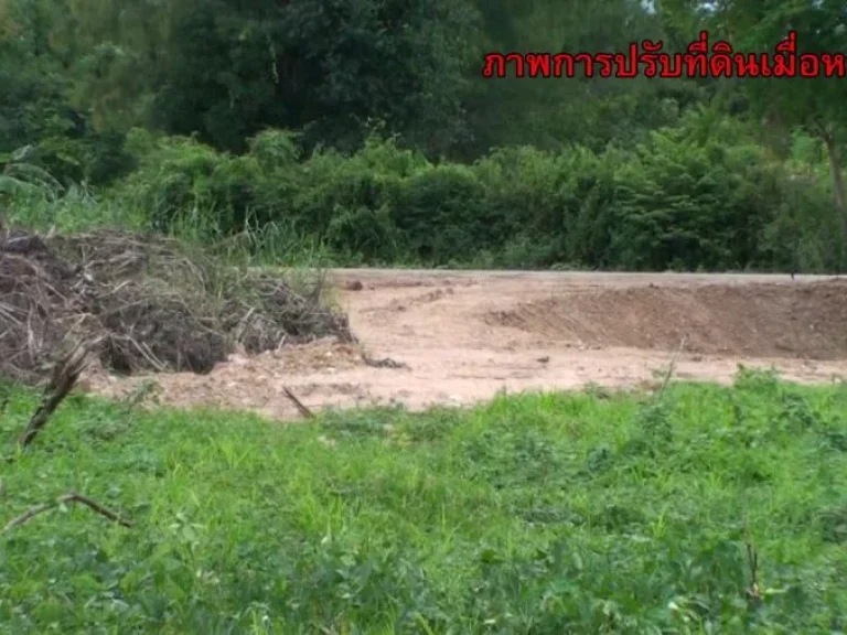 ที่ดินเพชรบุรีด้านหน้าติดถนนหลังติดน้ำ