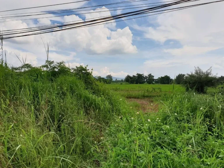 ขายที่ดินวิวสวย ทำเลดี ที่ดินติดถนนทั้งสามด้าน อยู่สี่แยกไฟแดงตรงข้ามทางเข้าตลาดสดและศูนย์ราชการ อำเภอแม่ใจ จังหวัดพะเยา เนื่อที่ 6  3  83 ไร่ ราค