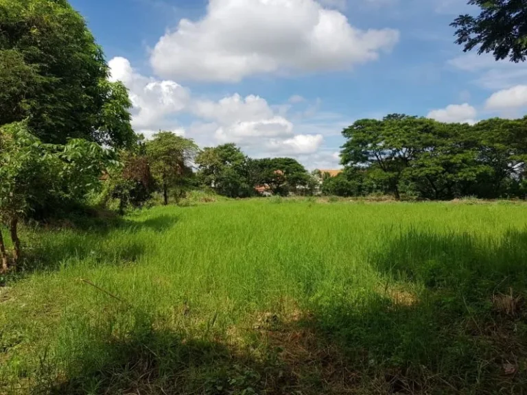 ขายที่ดินไกล้เซ้นทรัลเฟส พายับ